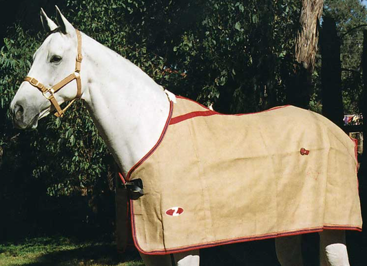 Zilco Natural Jute Rug