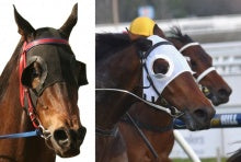 ZI HYLAND 1/2 CUP BLINKER