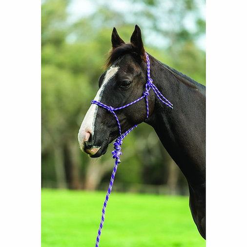 Two Tone Rope Headcollar and Lead Set