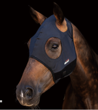 Lami-Cell Come Best Titanium Hood