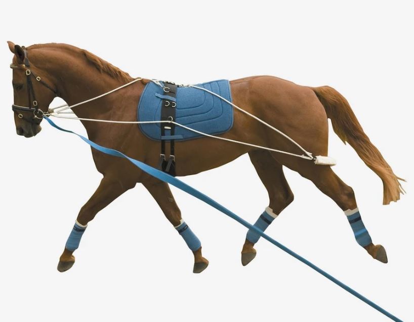 KINCADE LUNGING TRAINING SYSTEM