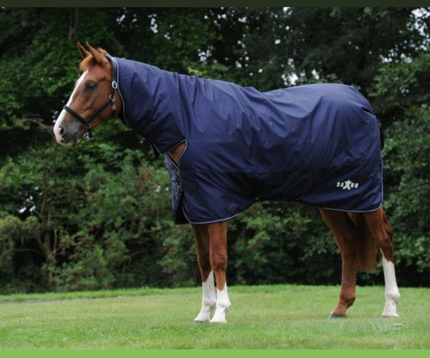 SAXON DEFIANT WITH BUCKLE 600D COMBO NECK LITE