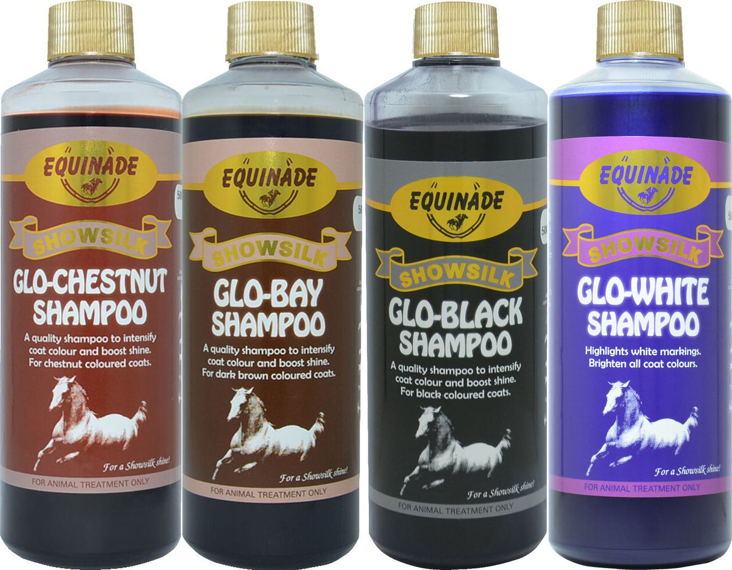 Equinade Glo Shampoo