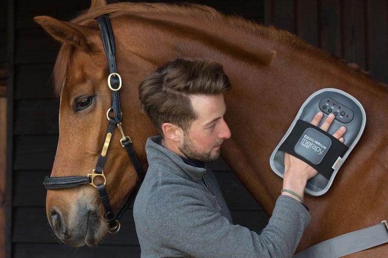 Equilibrium Massage Mitt-Contact us to order