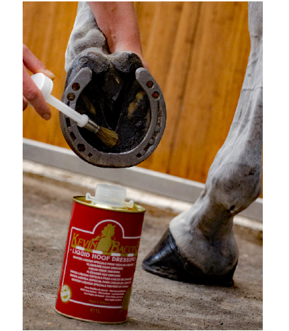 Kevin Bacon's Liquid Hoof Dressing