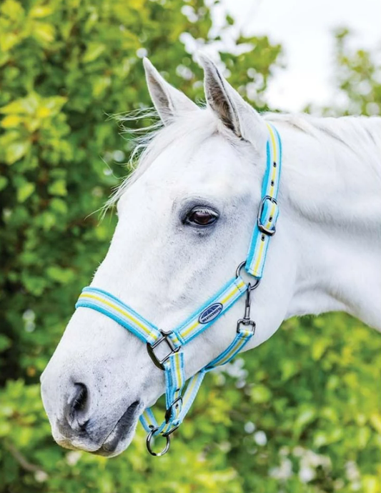 WEATHERBEETA COORDINATE HEADCOLLAR