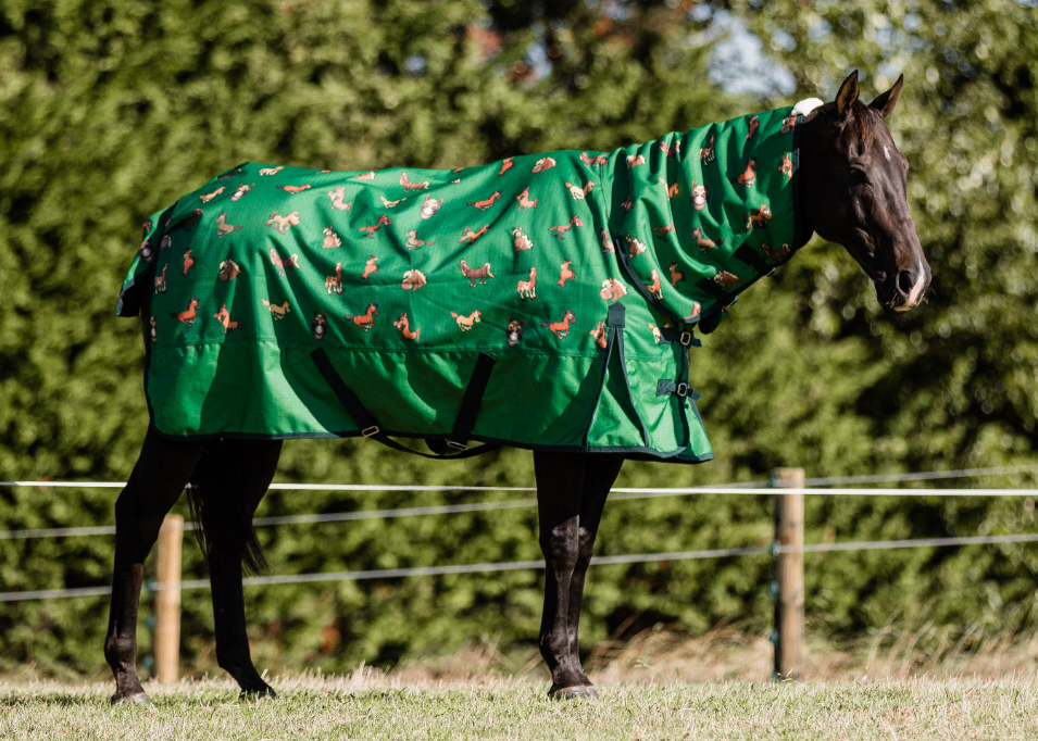 Cartoon Combo Rug 100g Fill