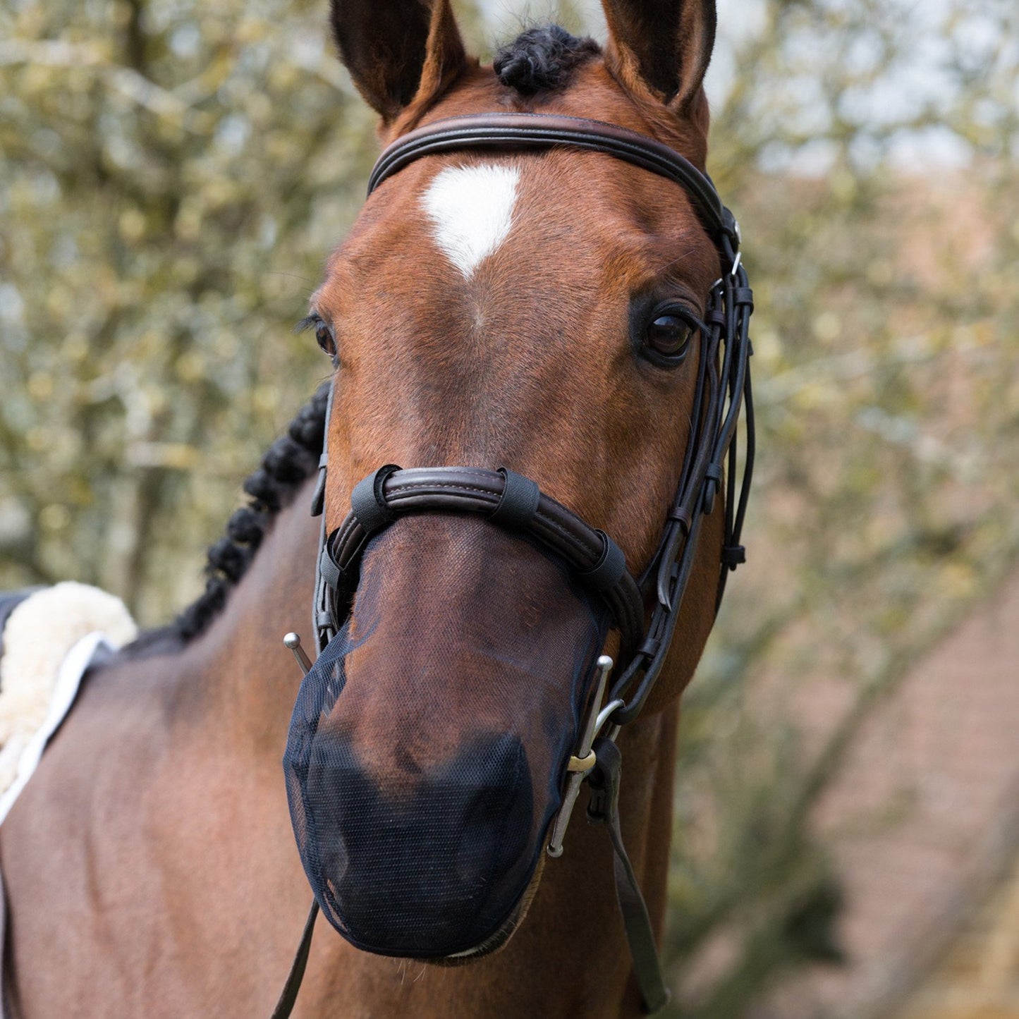 Equilibrium Nose Net Relief - 3 Pack