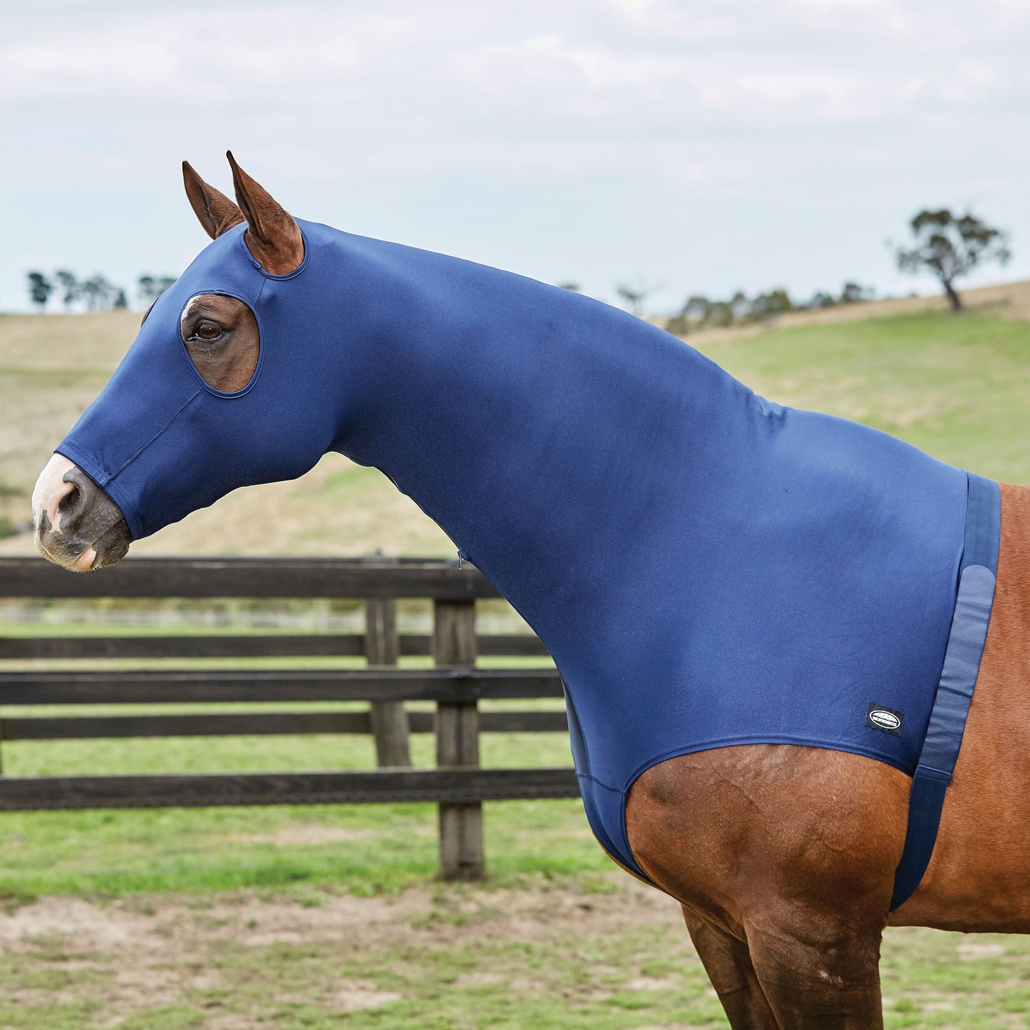 WEATHERBEETA DELUXE STRETCH HOOD WITH ZIP