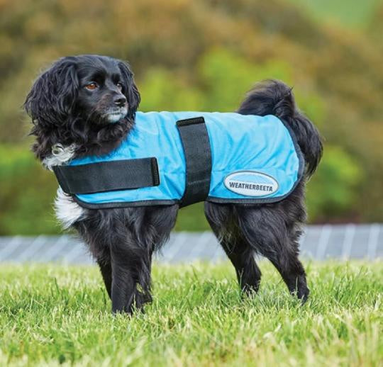 Weatherbeeta Therapy-Tec Cooling Dog Coat