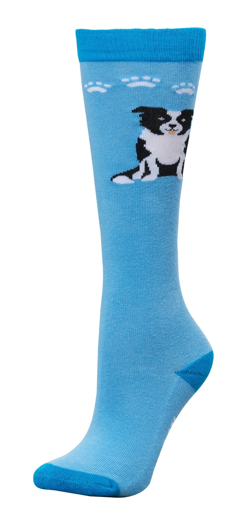 Dublin Single Pack Socks - Adults