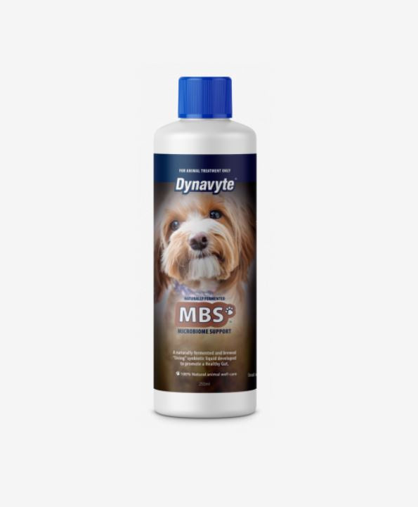 Dynavyte MBS Dog