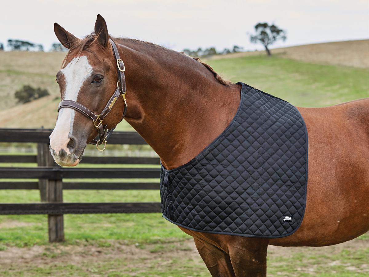 WEATHERBEETA DELUXE SHOULDER GUARD