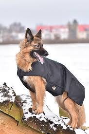 Torpol Waterproof Dog Rug