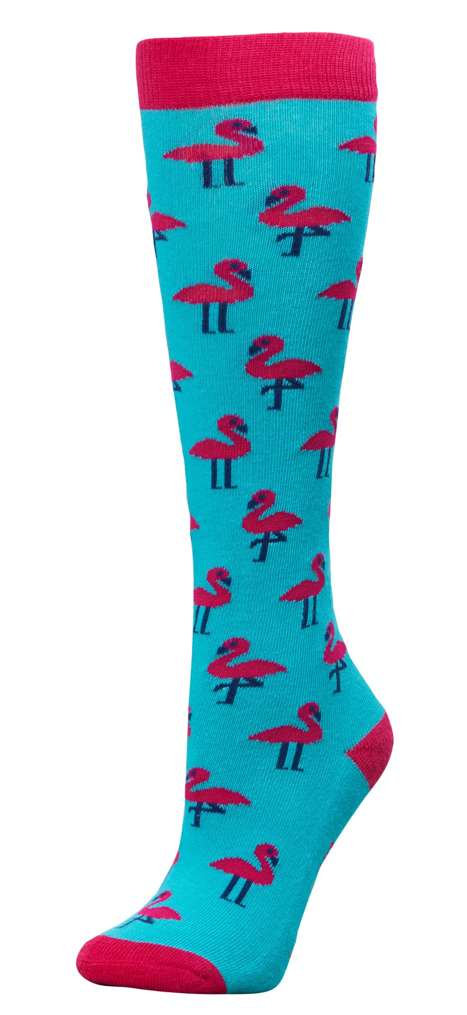 Dublin Single Pack Socks - Adults