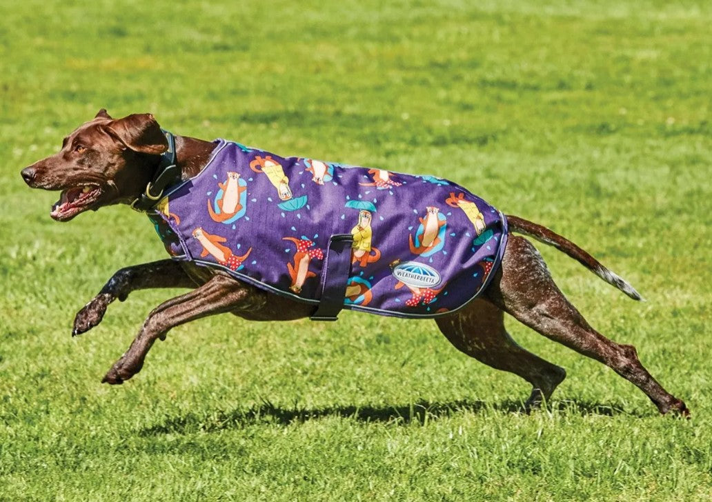 Comfitec Premier Free Parka Dog Coat