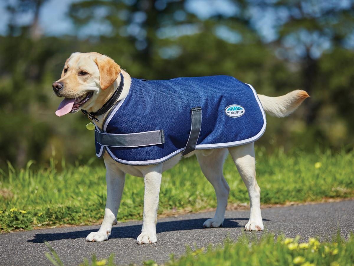 WEATHERBEETA PARKA 1200D DOG COAT