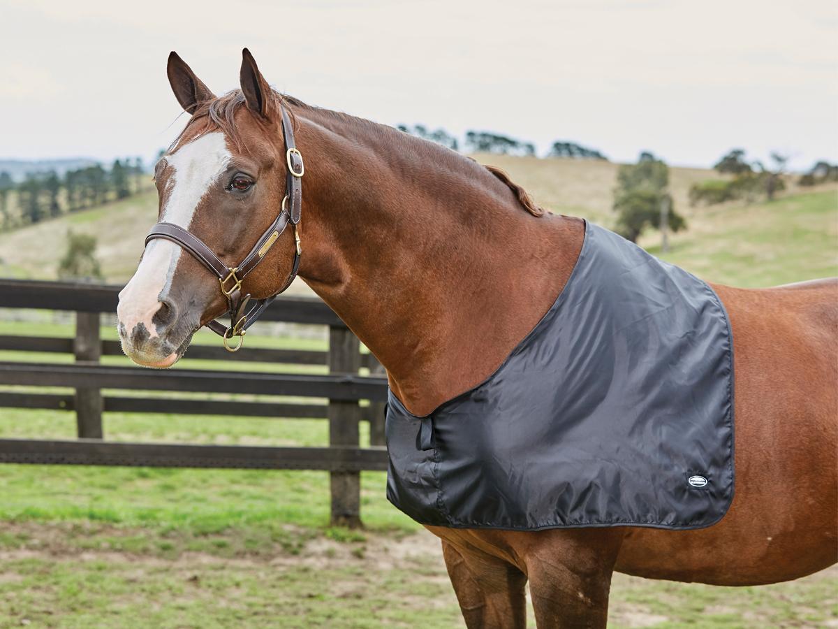 Weatherbeeta Satin Shoulder Guard