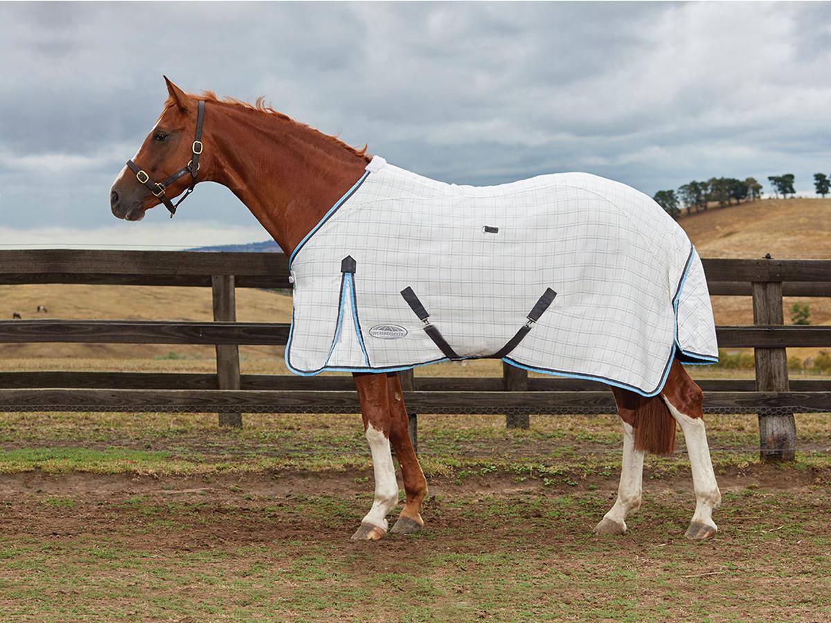 Weatherbeeta Summer Sheet Cotton Rug only