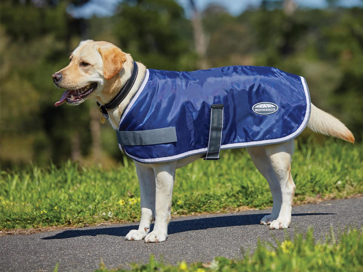 WEATHERBEETA WINDBREAKER 420D DOG COAT