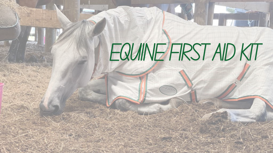 Equine First Aid Kit