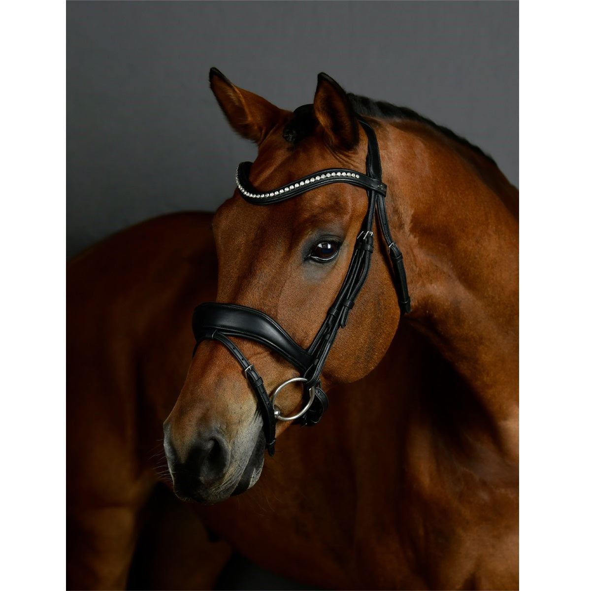 Bridons équitation en cristal Collegiate Comfitec - www Bridons équitation en cristal Collegiate Comfitec - www