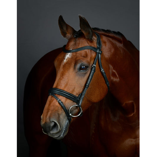 Collegiate Comfitec Opulux Plain Padded Hanoverian Flash Bridle