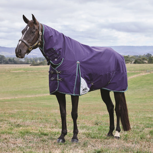 Weatherbeeta Comfitec Plus Dynamic Turnout Combo 100G