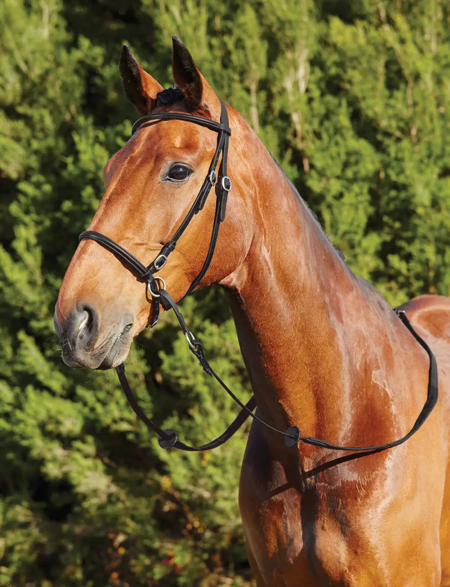DUBLIN BITLESS BRIDLE