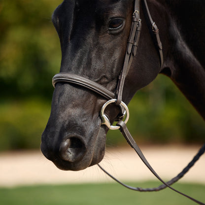 DUBLIN PADDED MONO CROWN FANCY STITCH HUNT BRIDLE