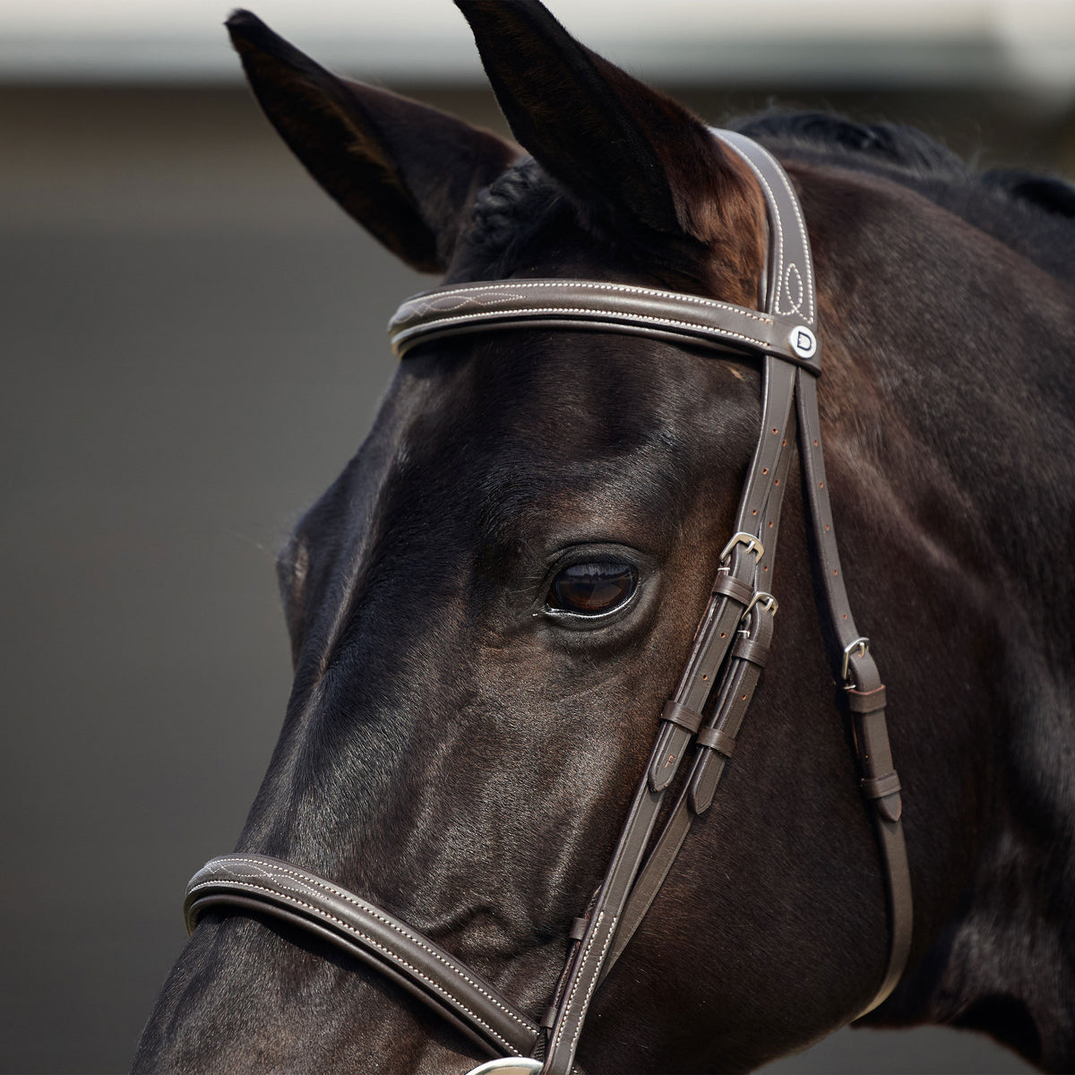 DUBLIN PADDED MONO CROWN FANCY STITCH HUNT BRIDLE
