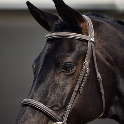 DUBLIN PADDED MONO CROWN FANCY STITCH HUNT BRIDLE