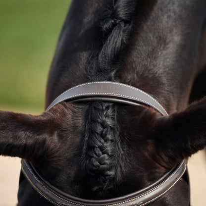DUBLIN PADDED MONO CROWN FANCY STITCH HUNT BRIDLE