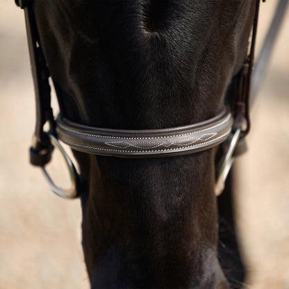 DUBLIN PADDED MONO CROWN FANCY STITCH HUNT BRIDLE