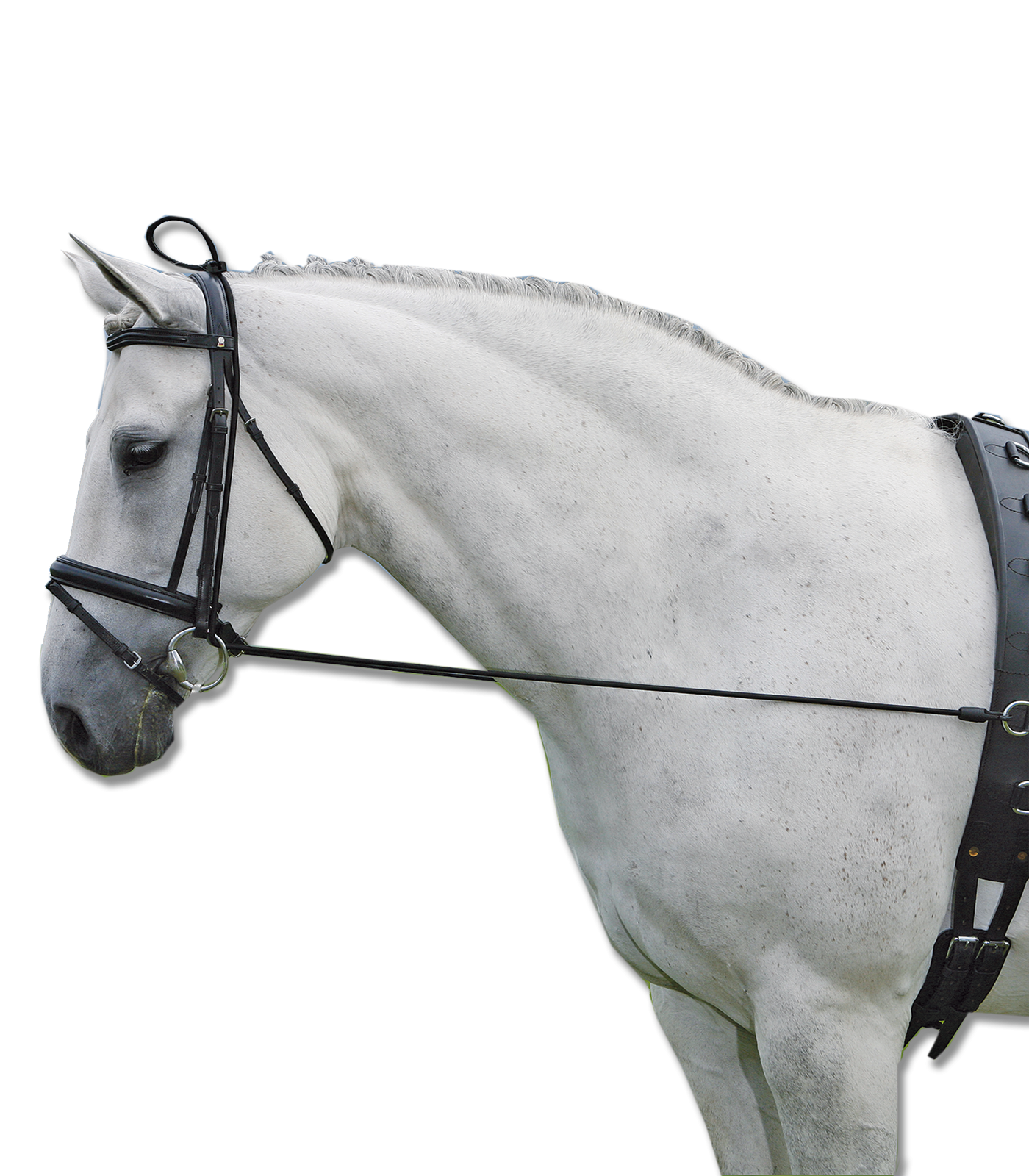 Elastic Chambon Neck Stretcher