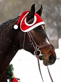 Santa Hat for Horse