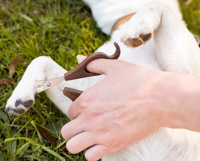 Hairy Pony Pooch Nail Clippers