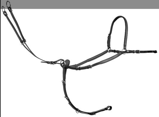 Platinum 3 Point Breastplate