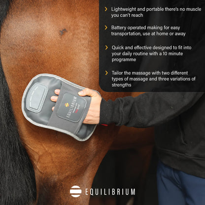Equilibrium Massage Mitt Hotspot