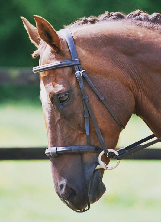 Equilibrium Net Relief Muzzle Net