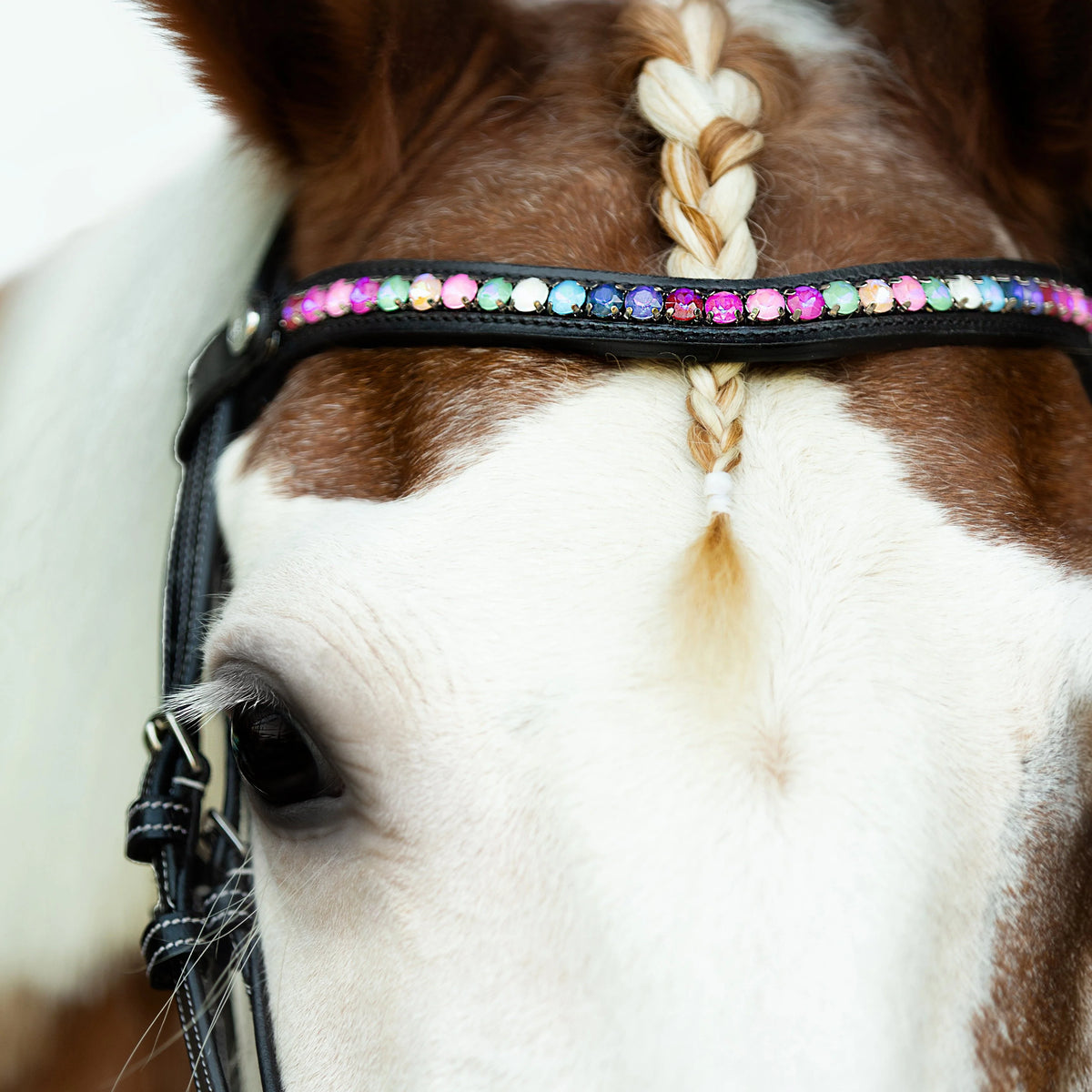 DUBLIN OMBRE RAINBOW BROWBAND