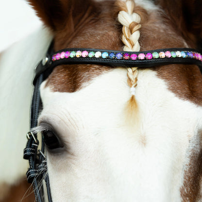 DUBLIN OMBRE RAINBOW BROWBAND