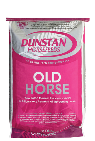 DUNSTAN OLD HORSE