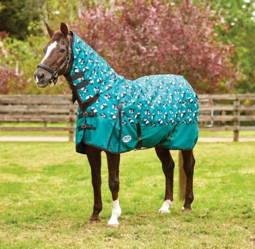 Weatherbeeta Comfitec Essential Combo Medium - Prints