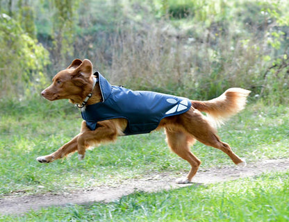 Weatherbeeta Explorer Lite Dog Coat