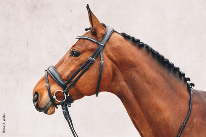 Schockemohle Stanford Bridle