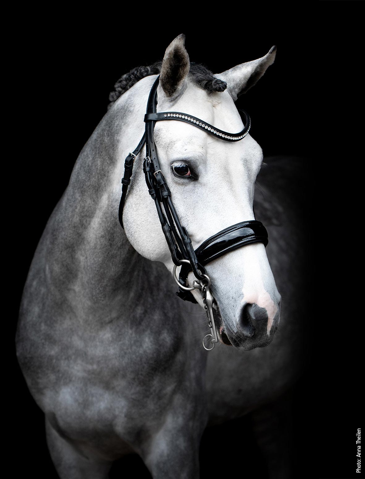 Schockemohle Venice Double Bridle