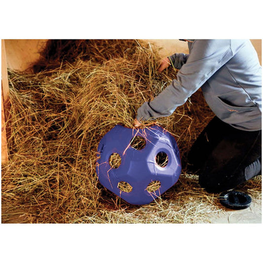 Horse toy hayball