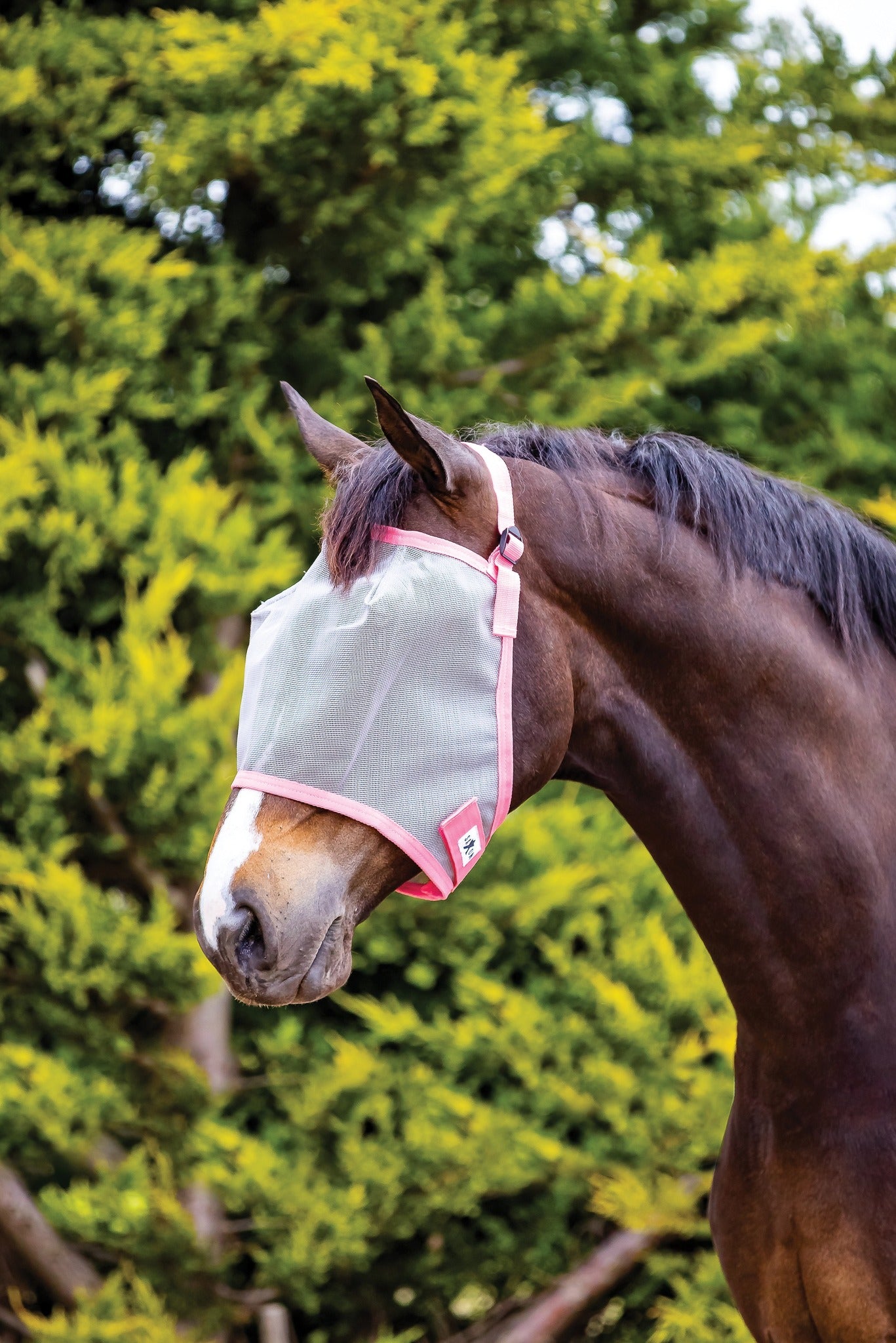 Saxon Buzz Away Fly Mask