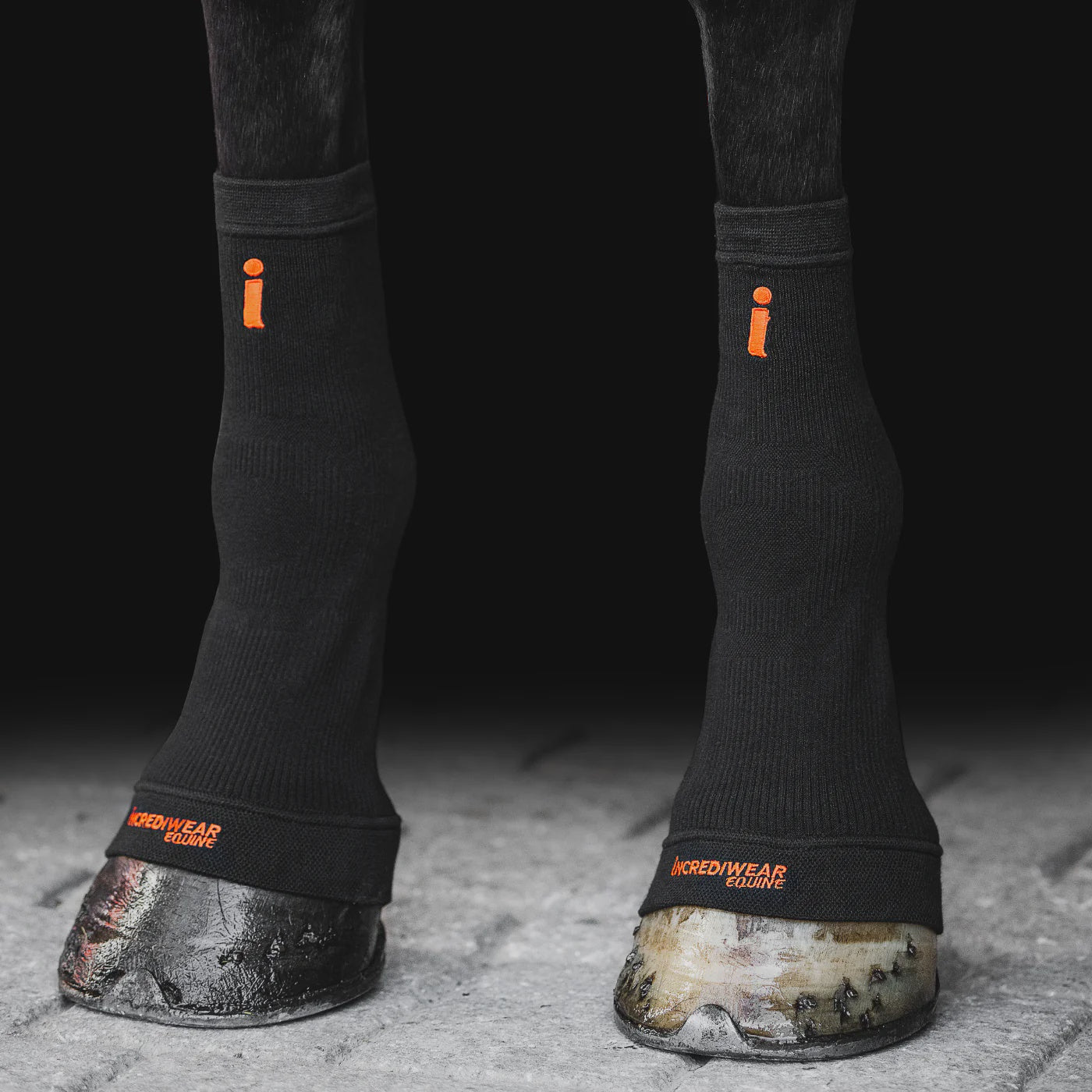 Incrediwear Equine Hoof Sock Set Black